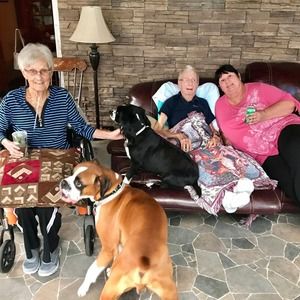 Meet your Posher, Norma